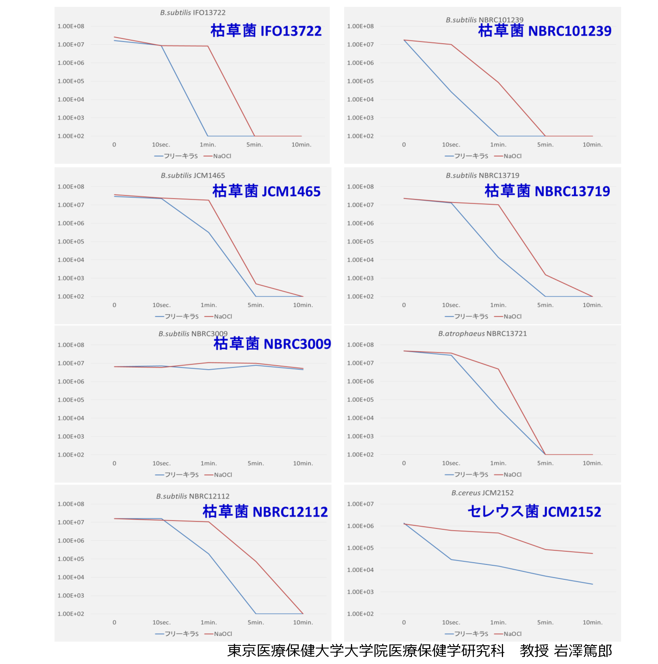 実験結果